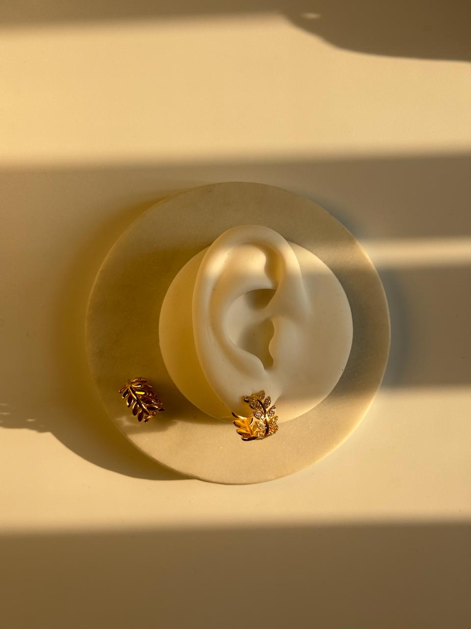 earrings 67