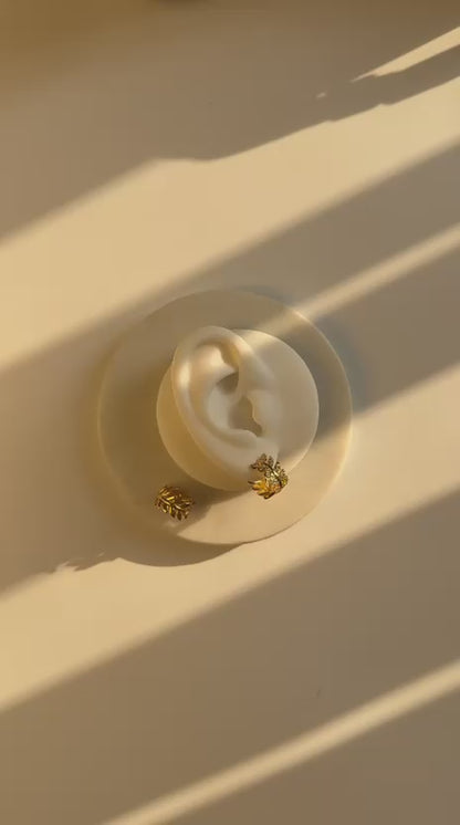 earrings 67