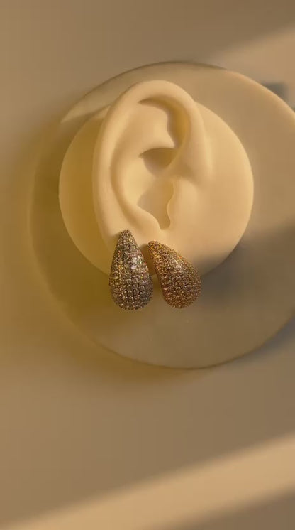 Earrings 78