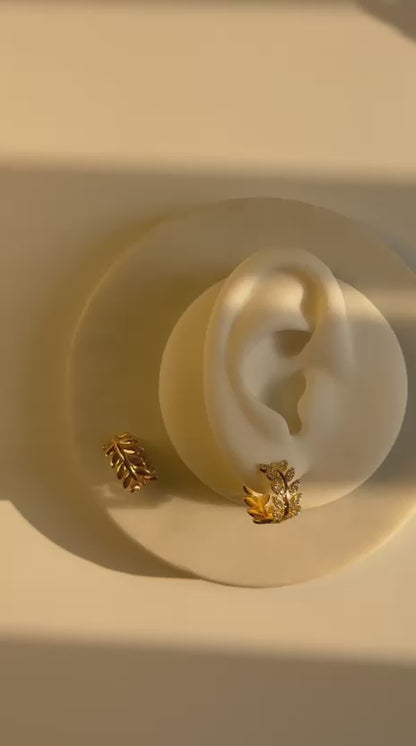 earrings 67